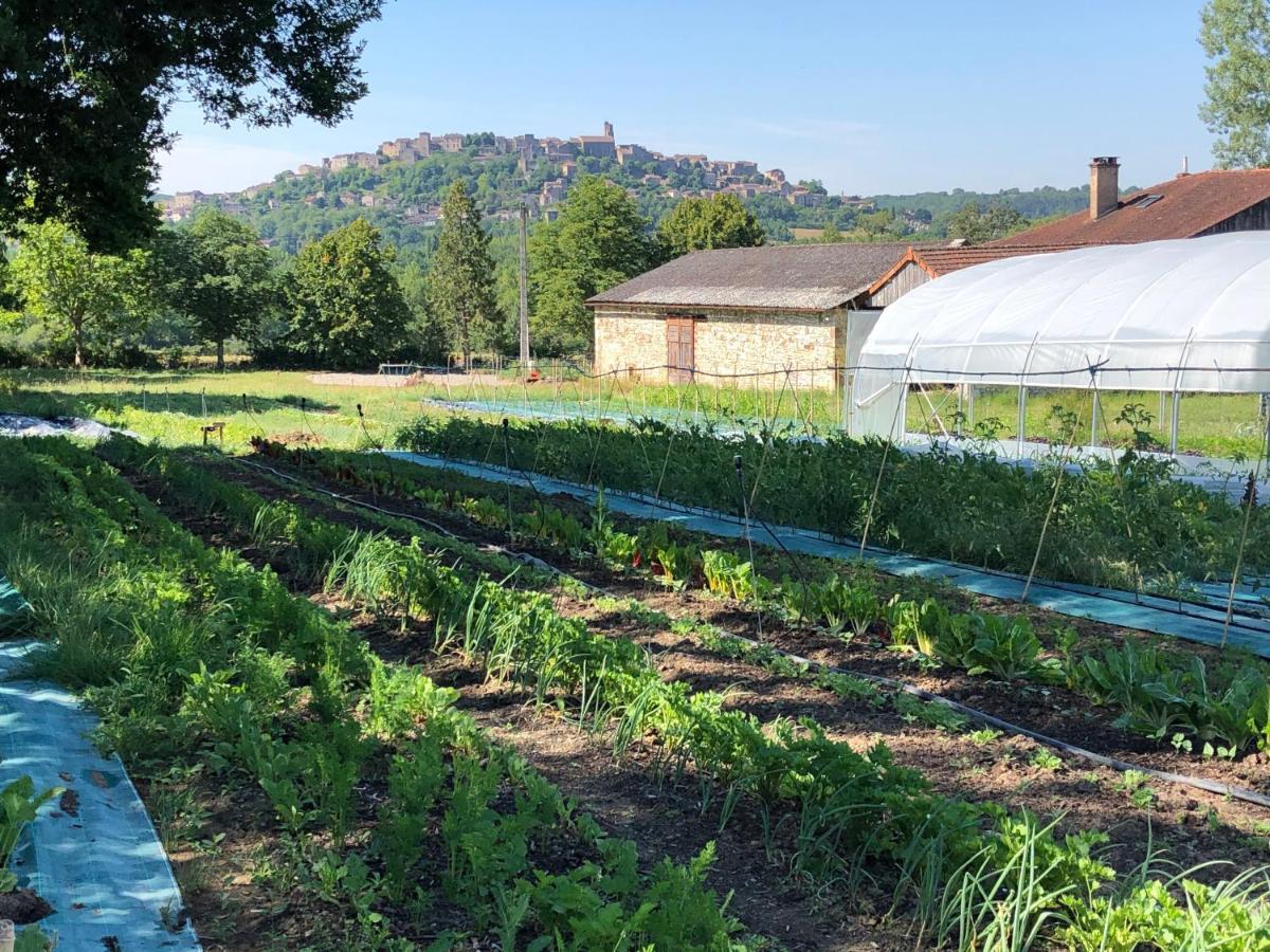 Gite A La Ferme De Verdurette Cordes Sur Ciel Kültér fotó