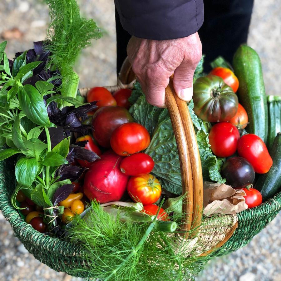 Gite A La Ferme De Verdurette Cordes Sur Ciel Kültér fotó