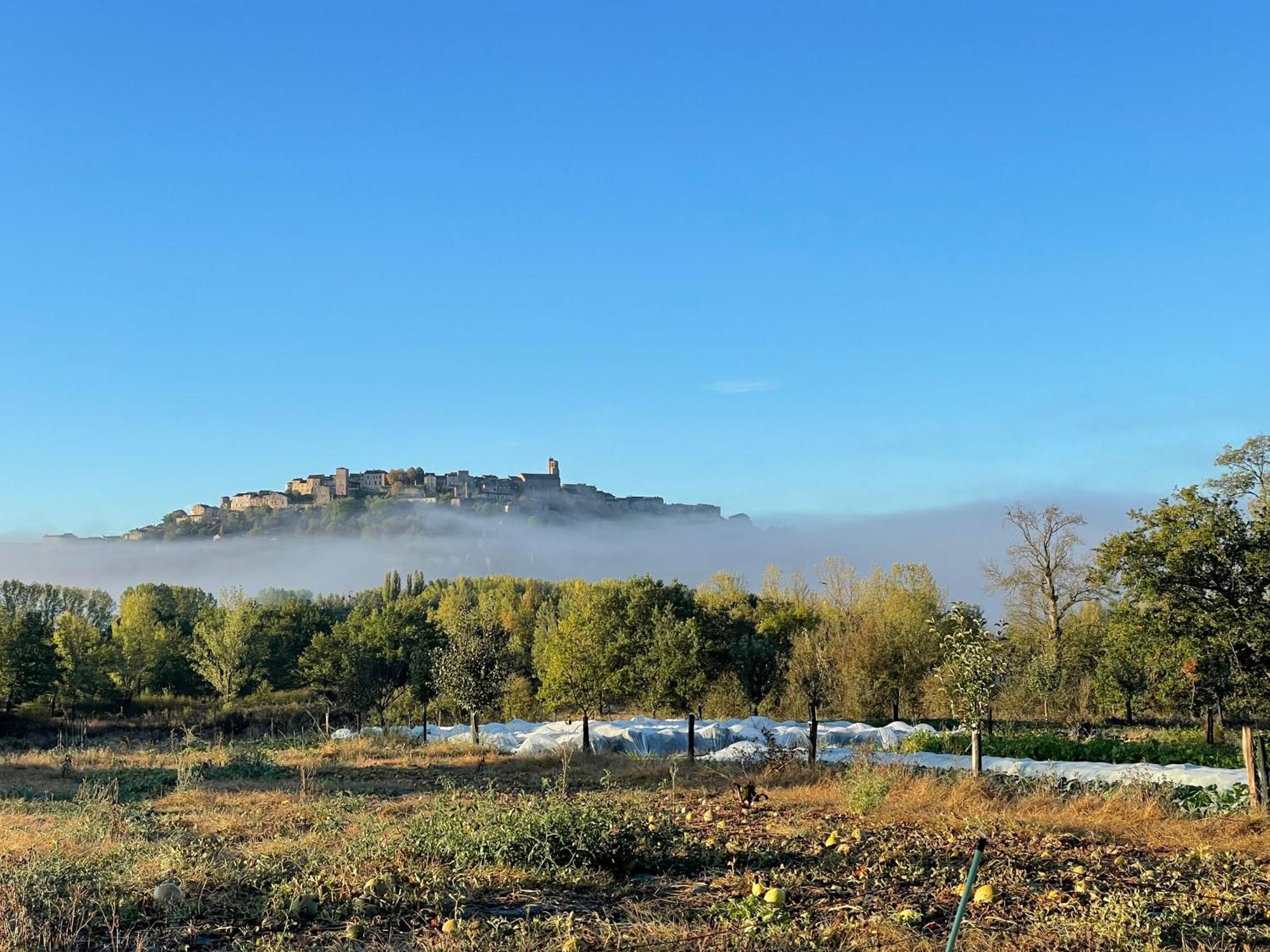 Gite A La Ferme De Verdurette Cordes Sur Ciel Kültér fotó